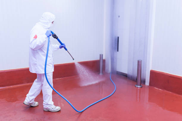 Best Pool Deck Cleaning  in Alva, FL